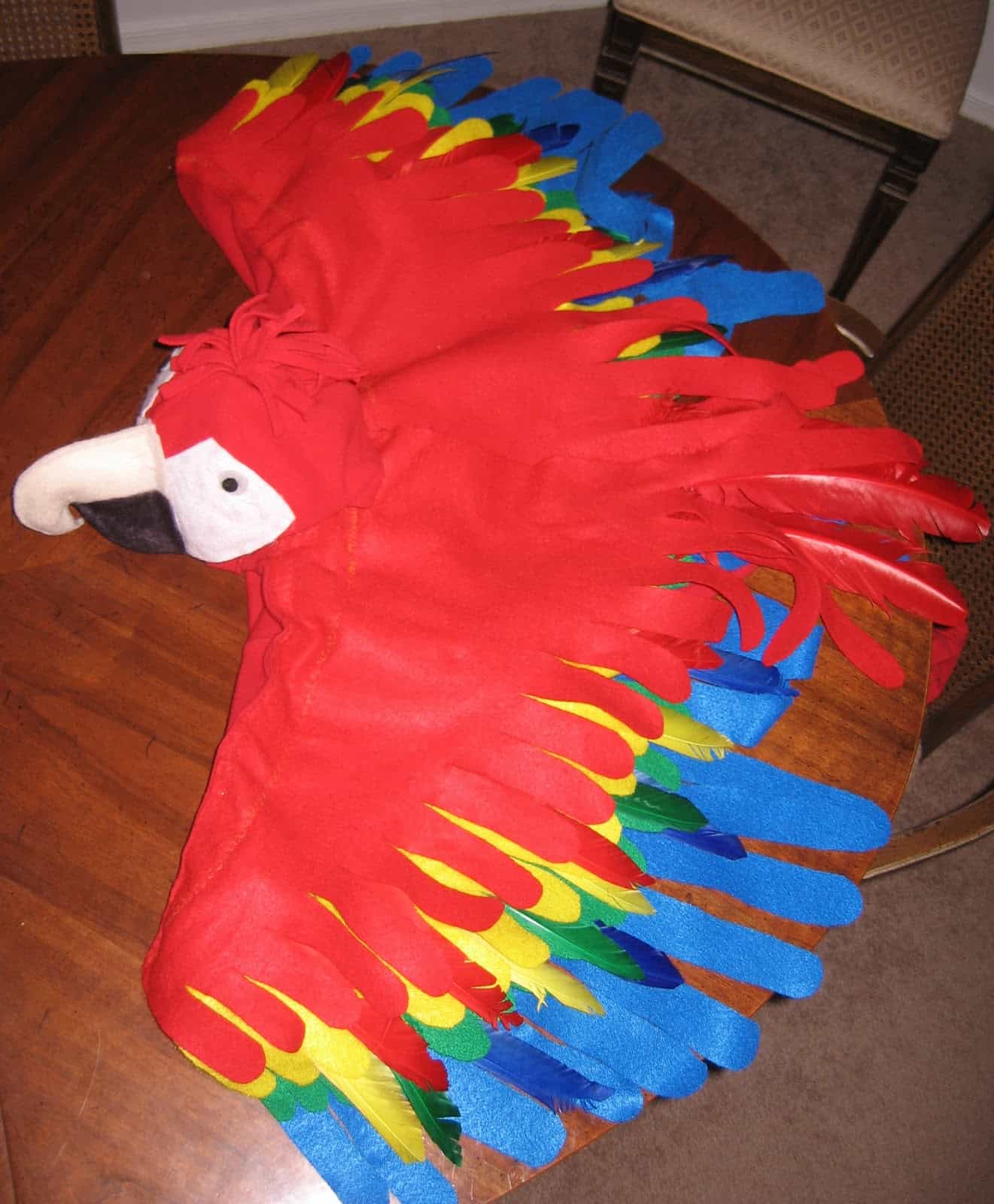 Homemade parrot hood costume