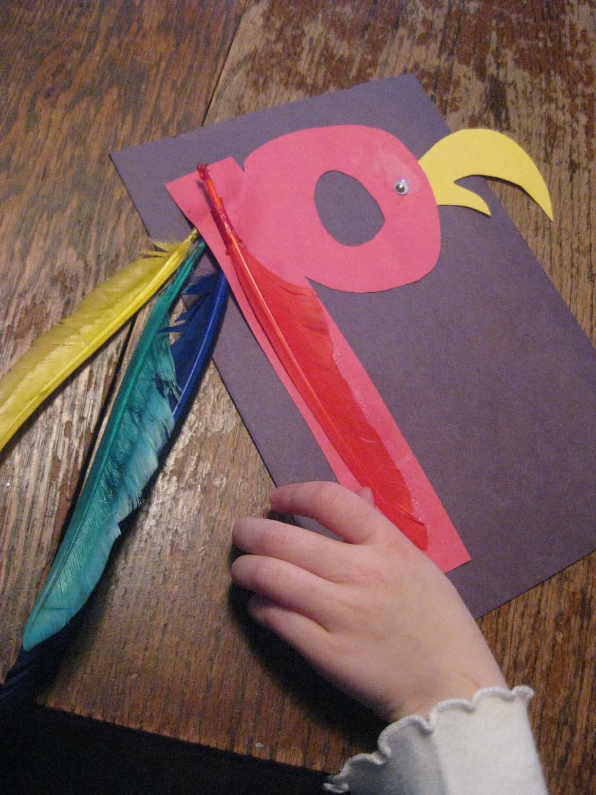 P for parrot craft