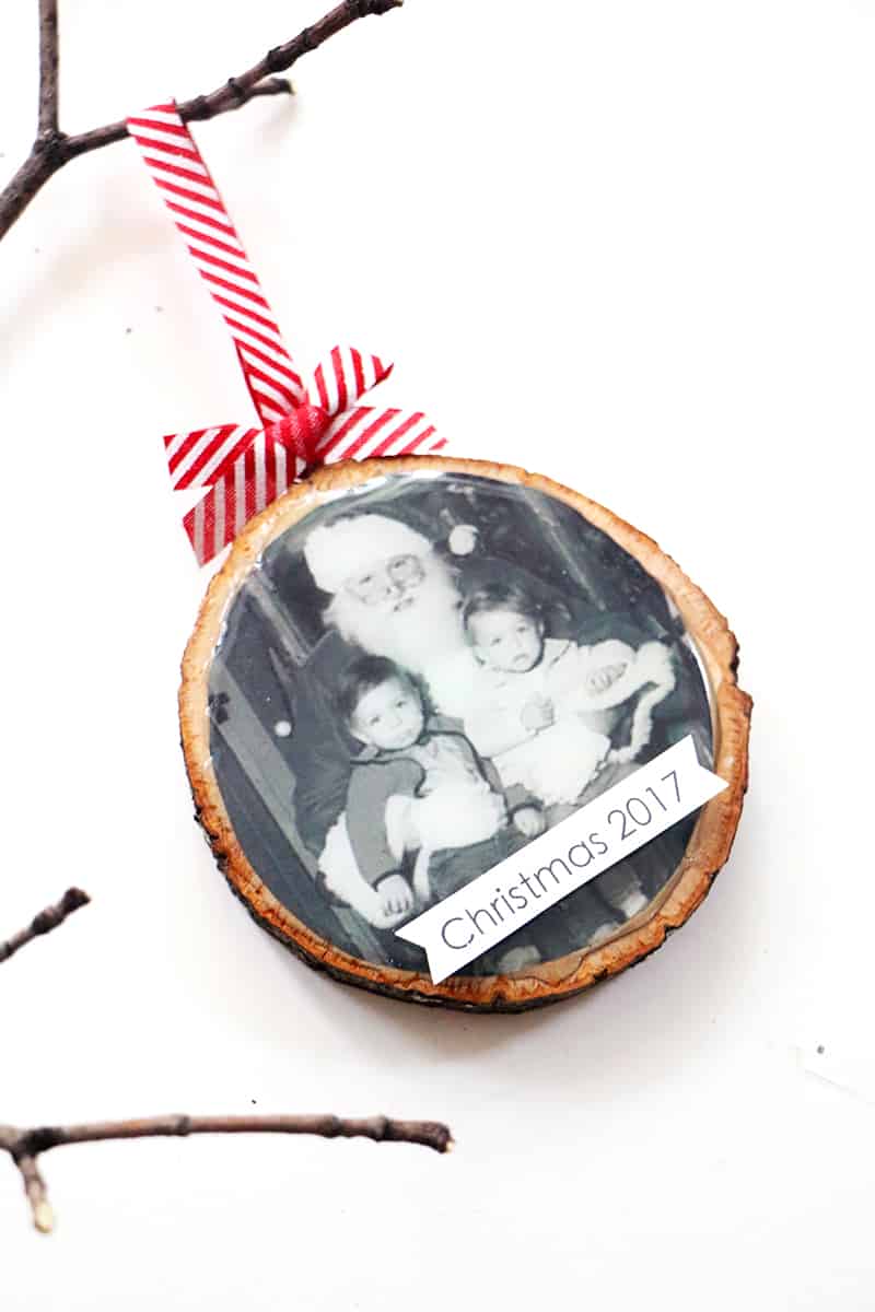 Tree diy wood slice ornament