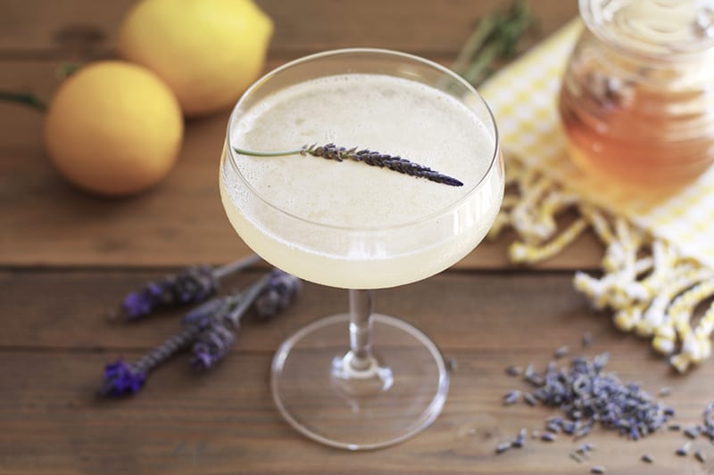 Lavender bee's knees - Best Spring Gin Cocktails