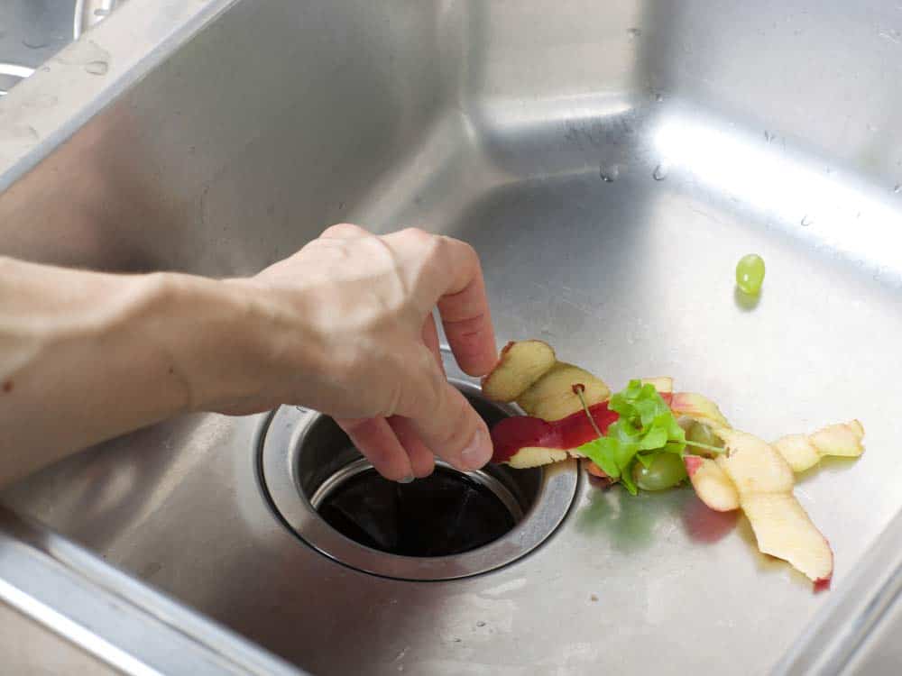Use borax to sanitize your garbage disposal