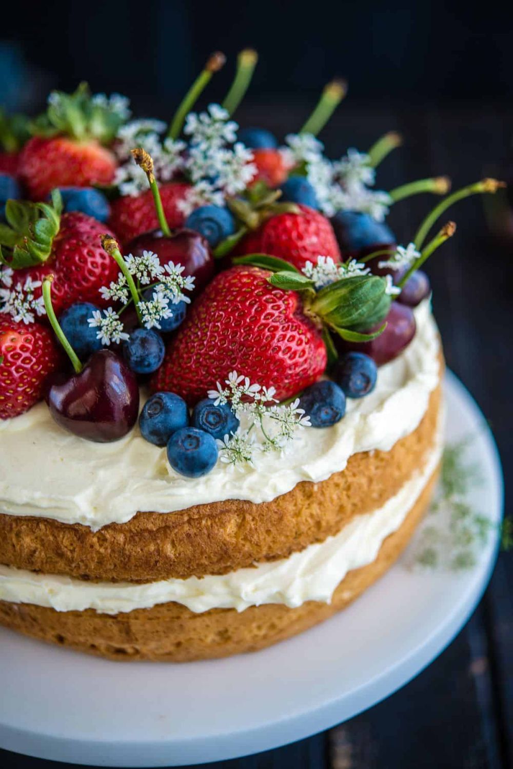 Blueberry and Strawberry Sponge Cake Recipe