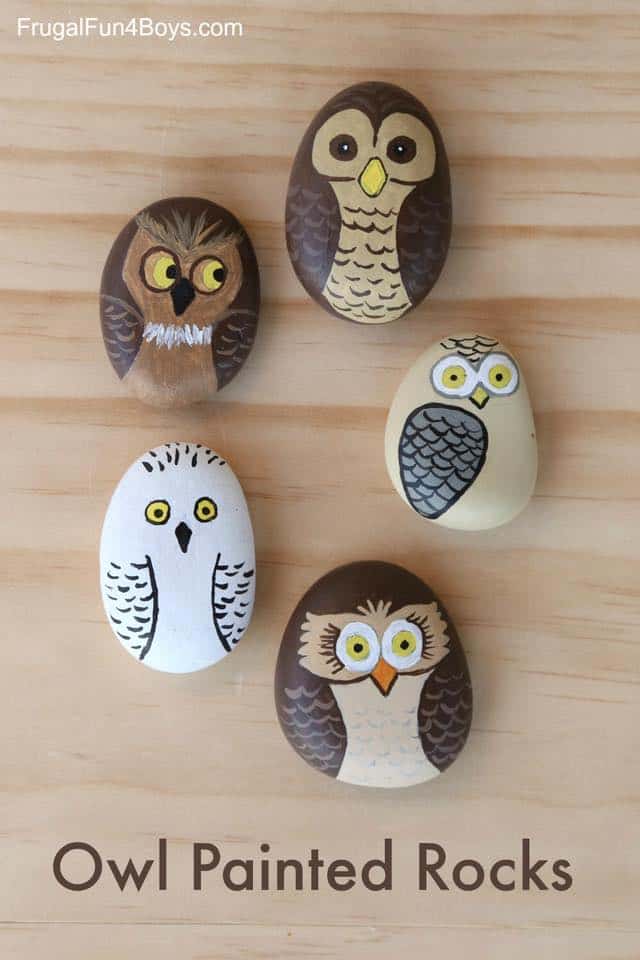 Owl painted rocks