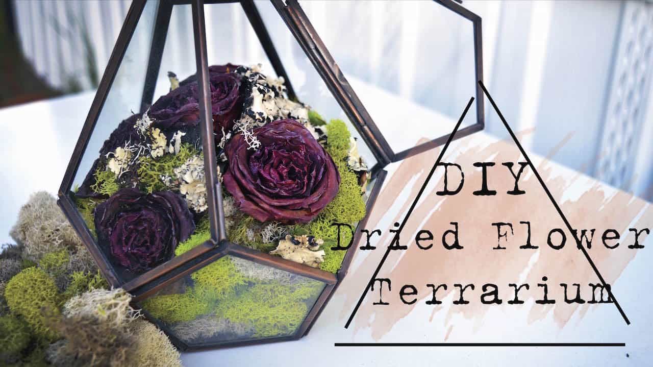 Diy dried flower terrarium