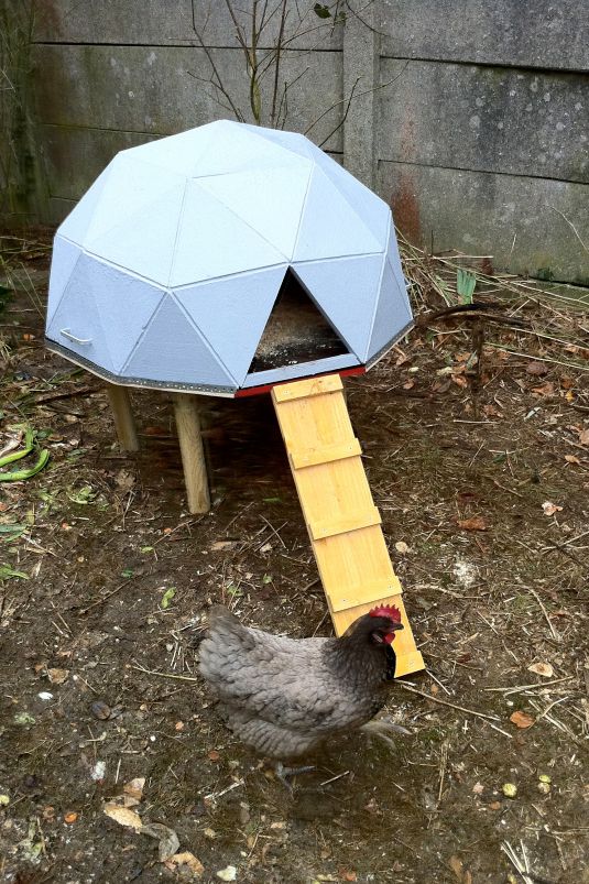 Diy geometric dome coop