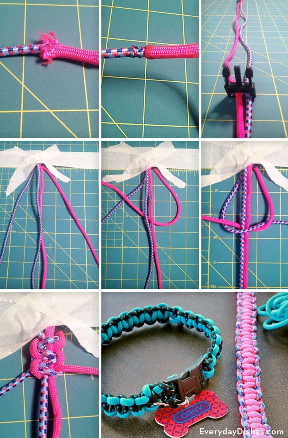 Adorable Diy Dog Collars To Make Walk Time Extra Stylish