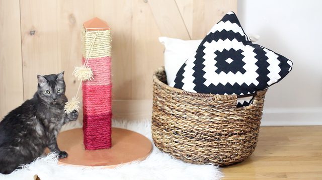 Ombre cat scratching post