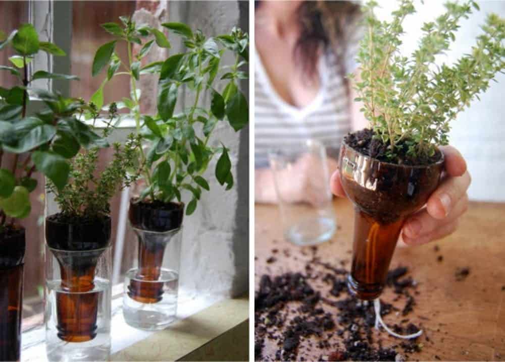 Diy bottle garden planter