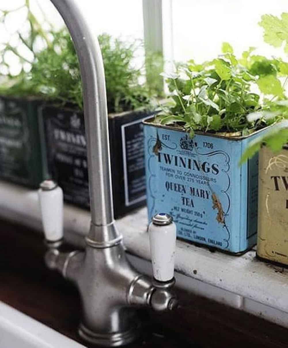 Vintage tea tin planters diy