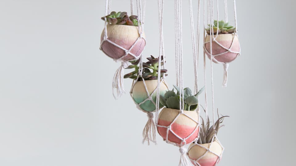 Dip dyed bell cup succulent planters