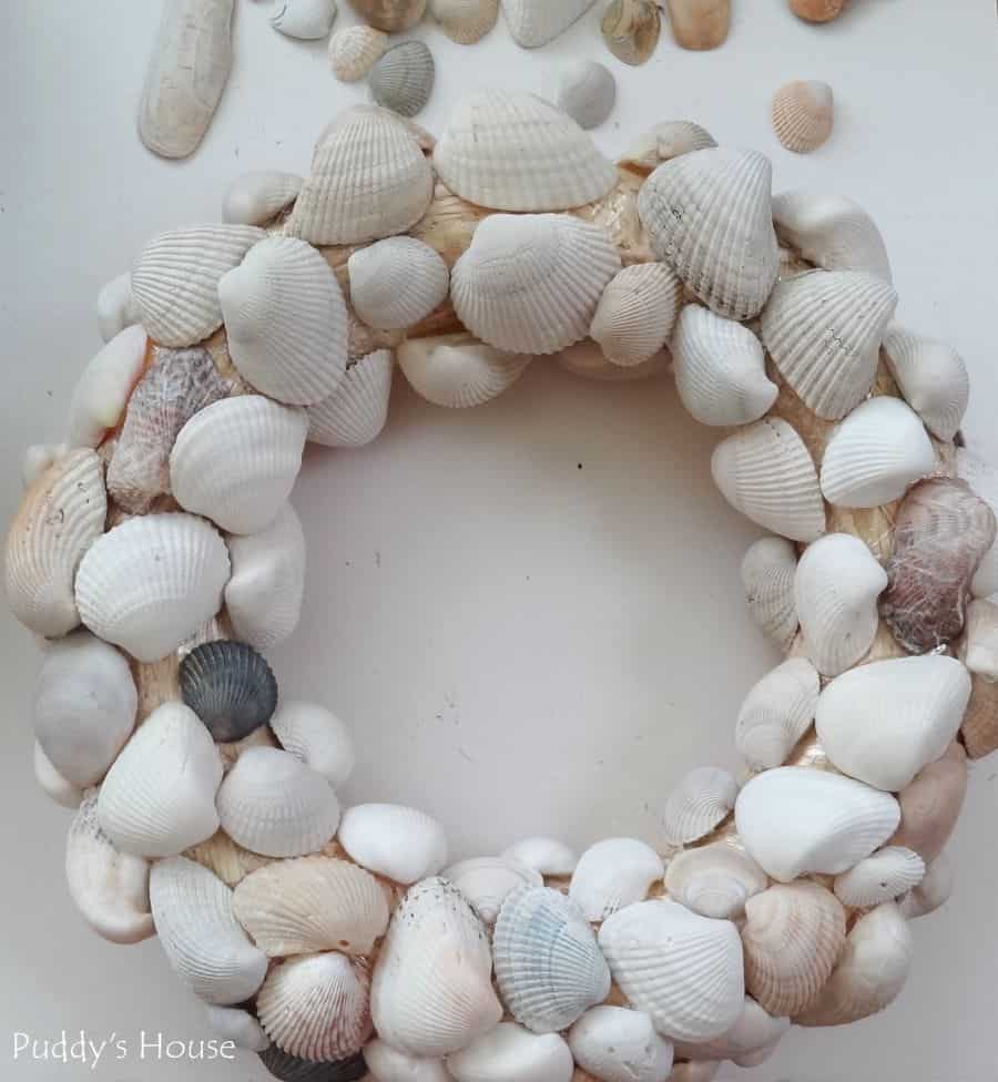 Pretty seashell wreaths