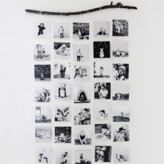 Branch mounted vertical photo hangings