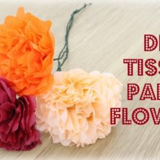Diy tissue paper flowers