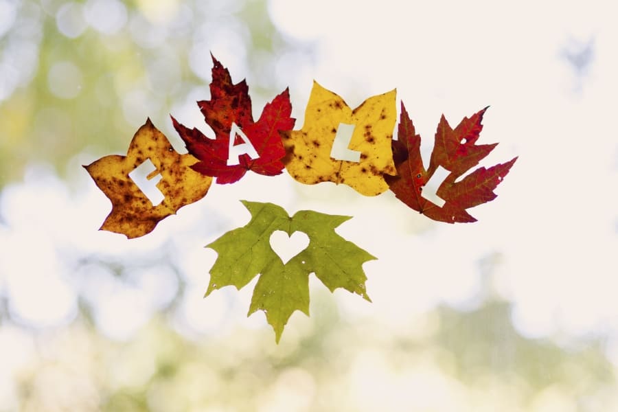 Fall leaf cutout window decoration