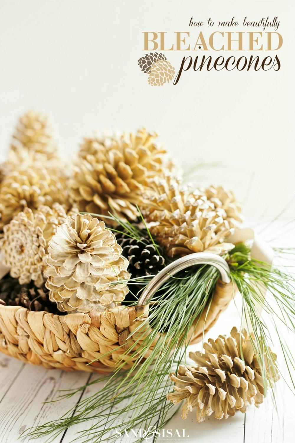A basket of bleached pinecones thanksgiving centerpiece