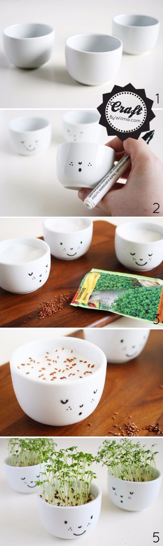 Diy cress cups with a face