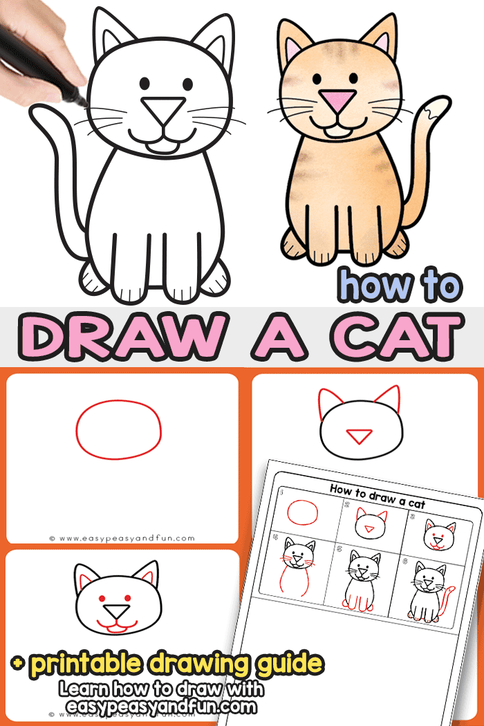 cat drawing