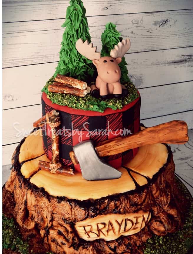 Painted detail lumberjack cake