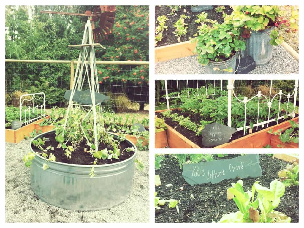 Wash tubs work as raised garden beds