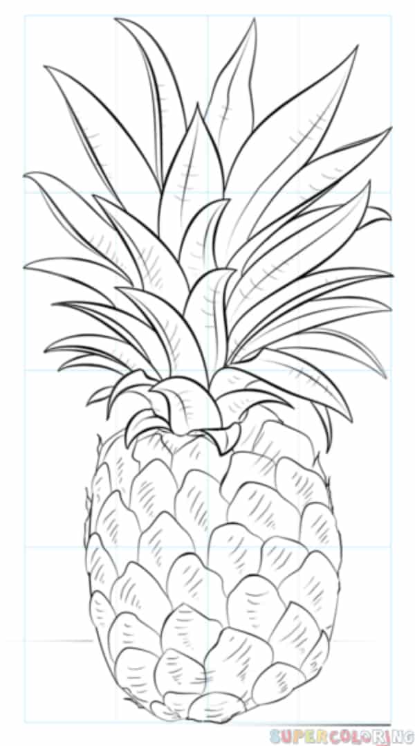 How to draw a pineapple