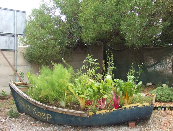 Garden in a boat