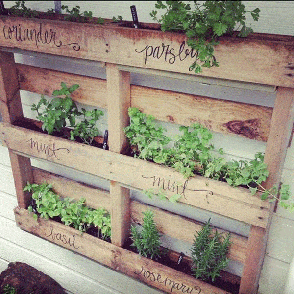 Hanging pallet herb garden