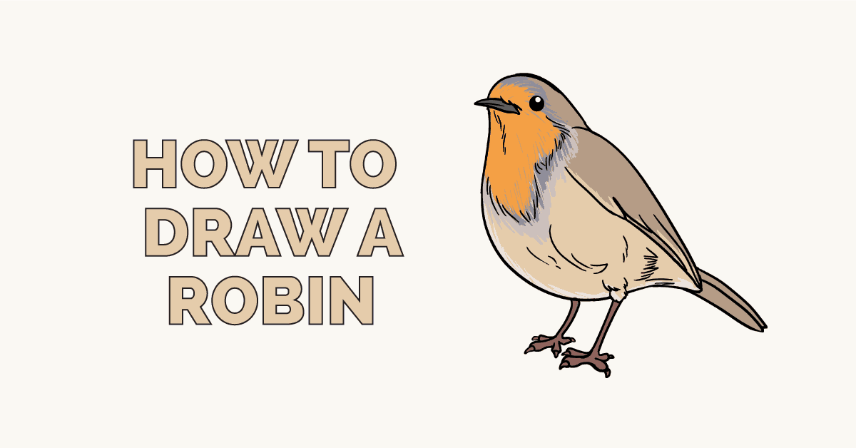 How to draw a robin