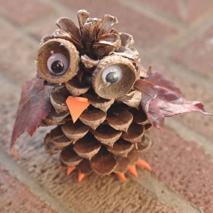 Pine cone, acorn, and leaf owls