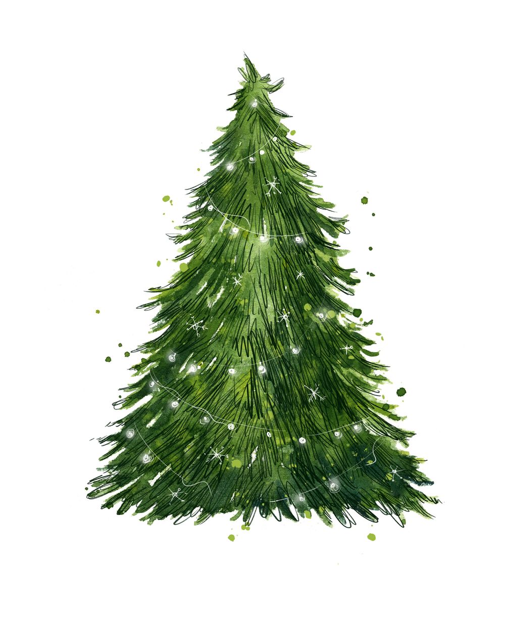 Realistic christmas tree drawing watercolor and pencil tree