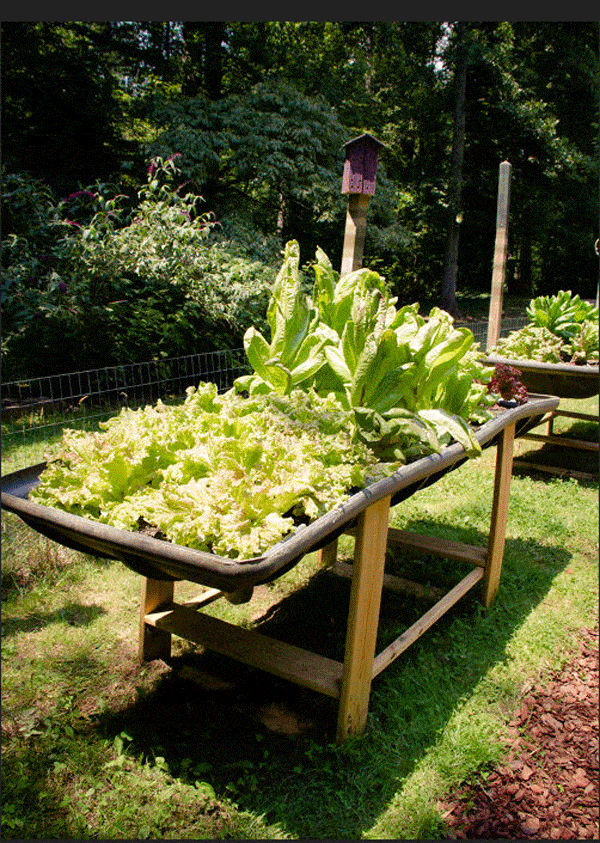 Repurposed supplies raised bed