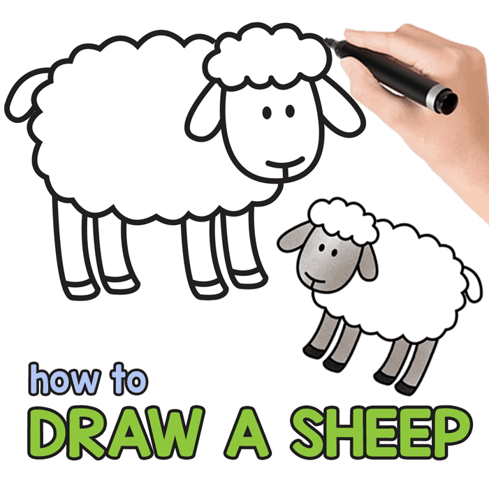 Sheep drawing tutorial