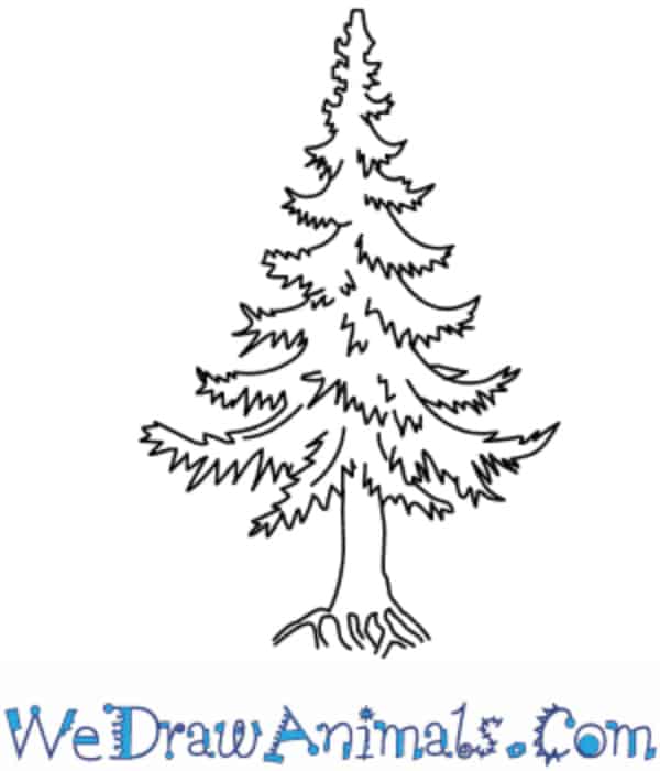 Free Vector | Hand draw winter christmas tree sketch holiday card background