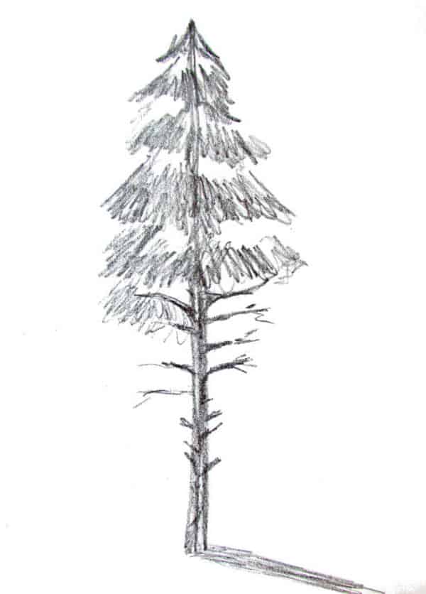 Christmas Sketches - Christmas Tree Drawing