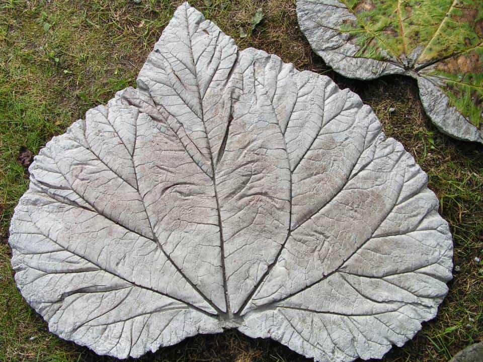 Rhubarb leaf stepping stones