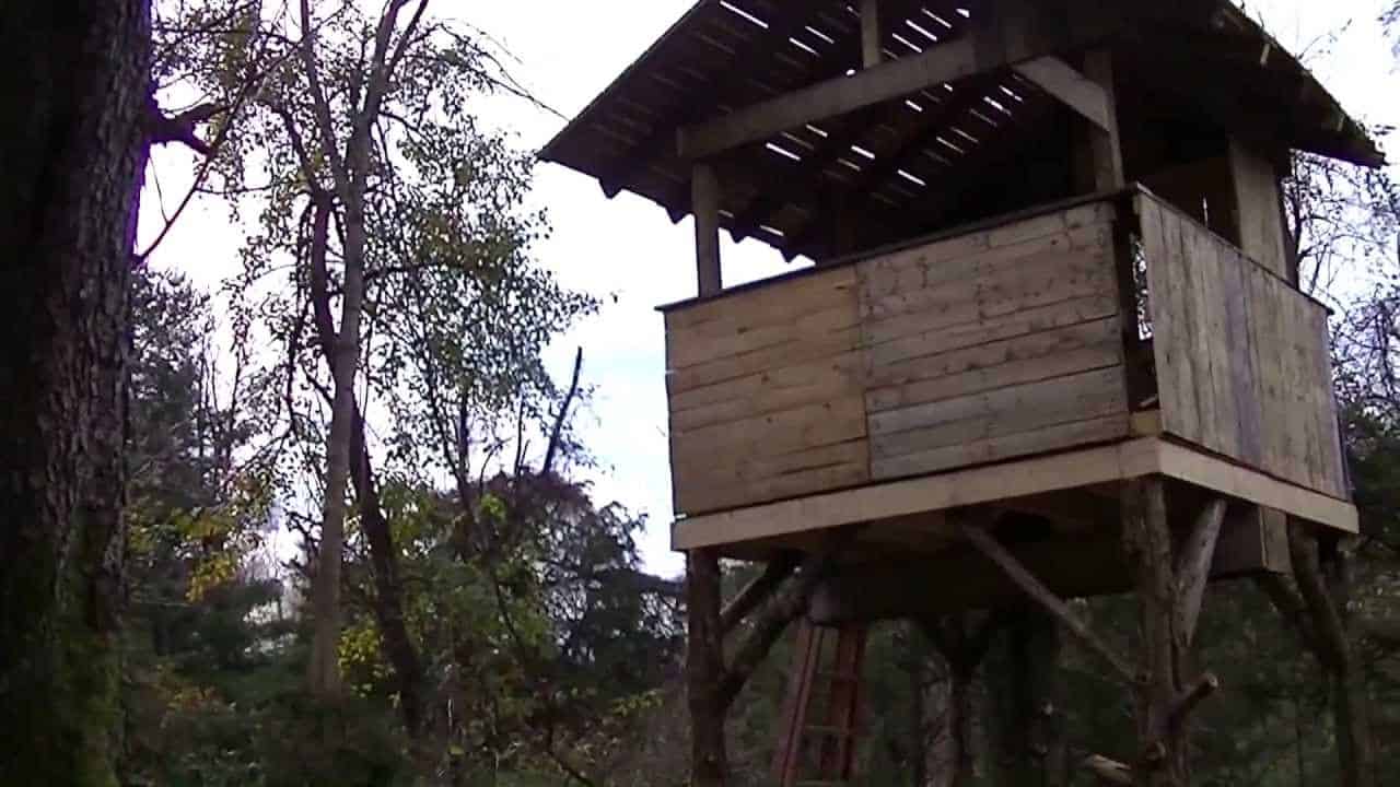 Treehouse with short walls and a roof