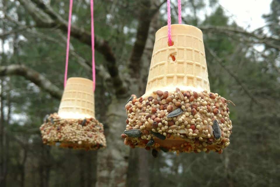 Diy ice cream cone bird feeders