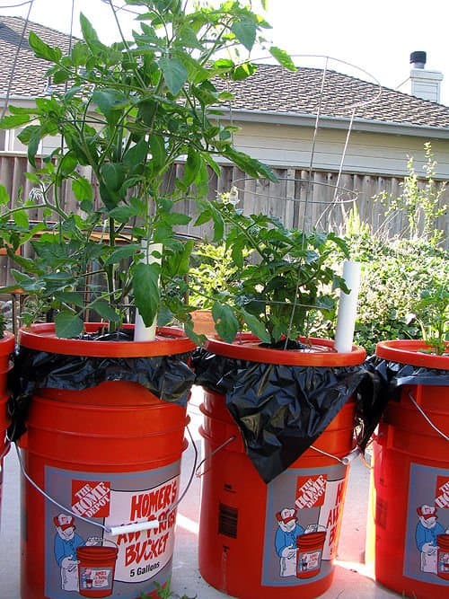 Diy low cost self watering planter