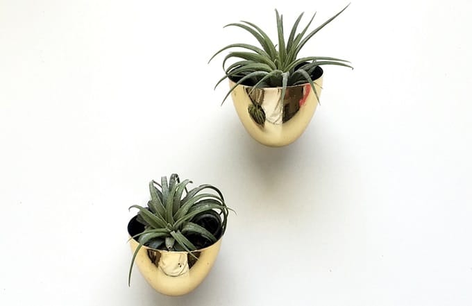 Diy mini succulent magnets