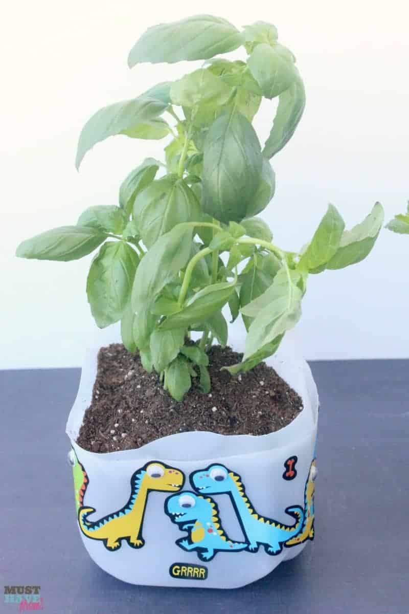 Diy self watering milk jug planter