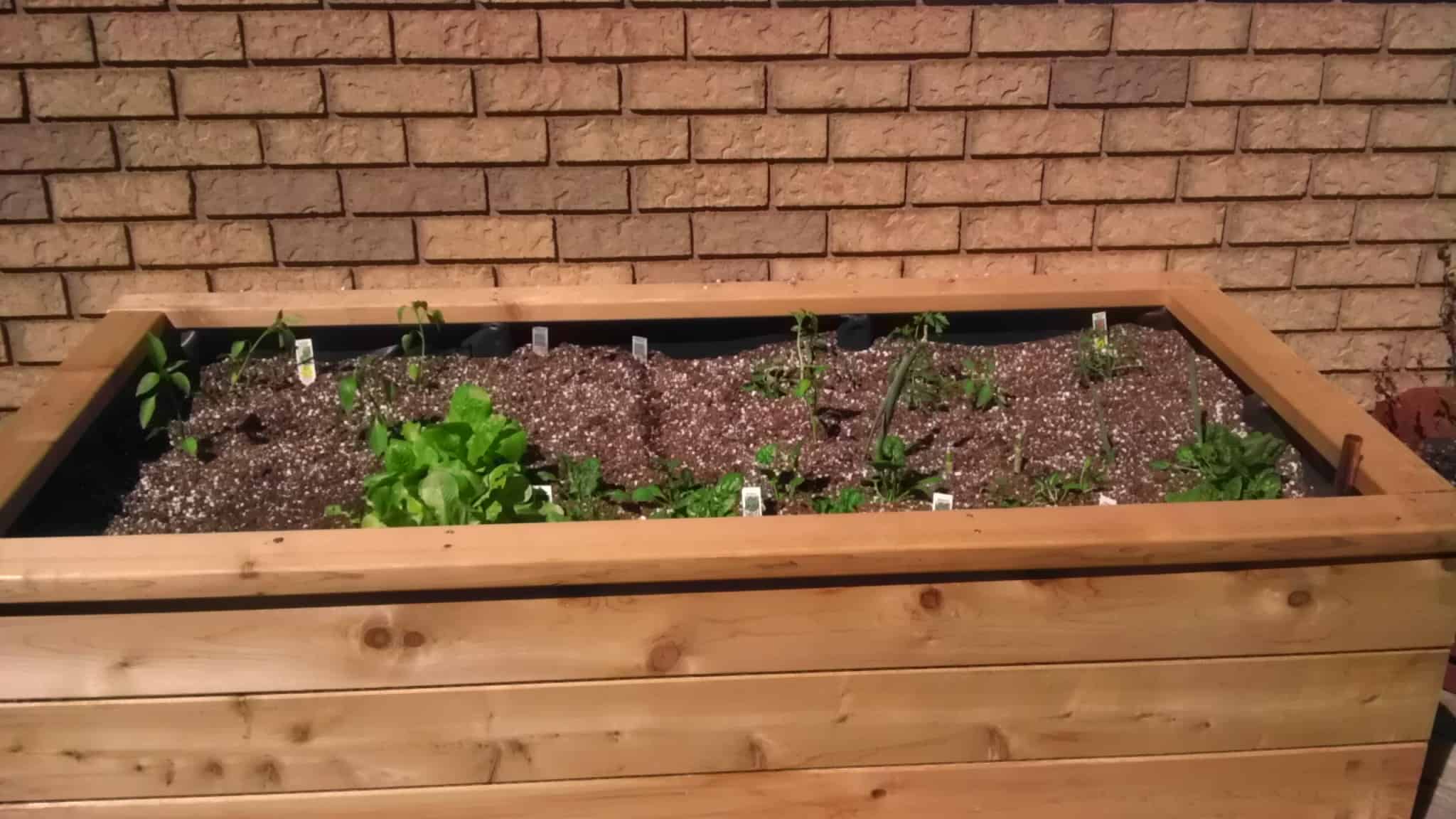 Diy wooden self watering planters