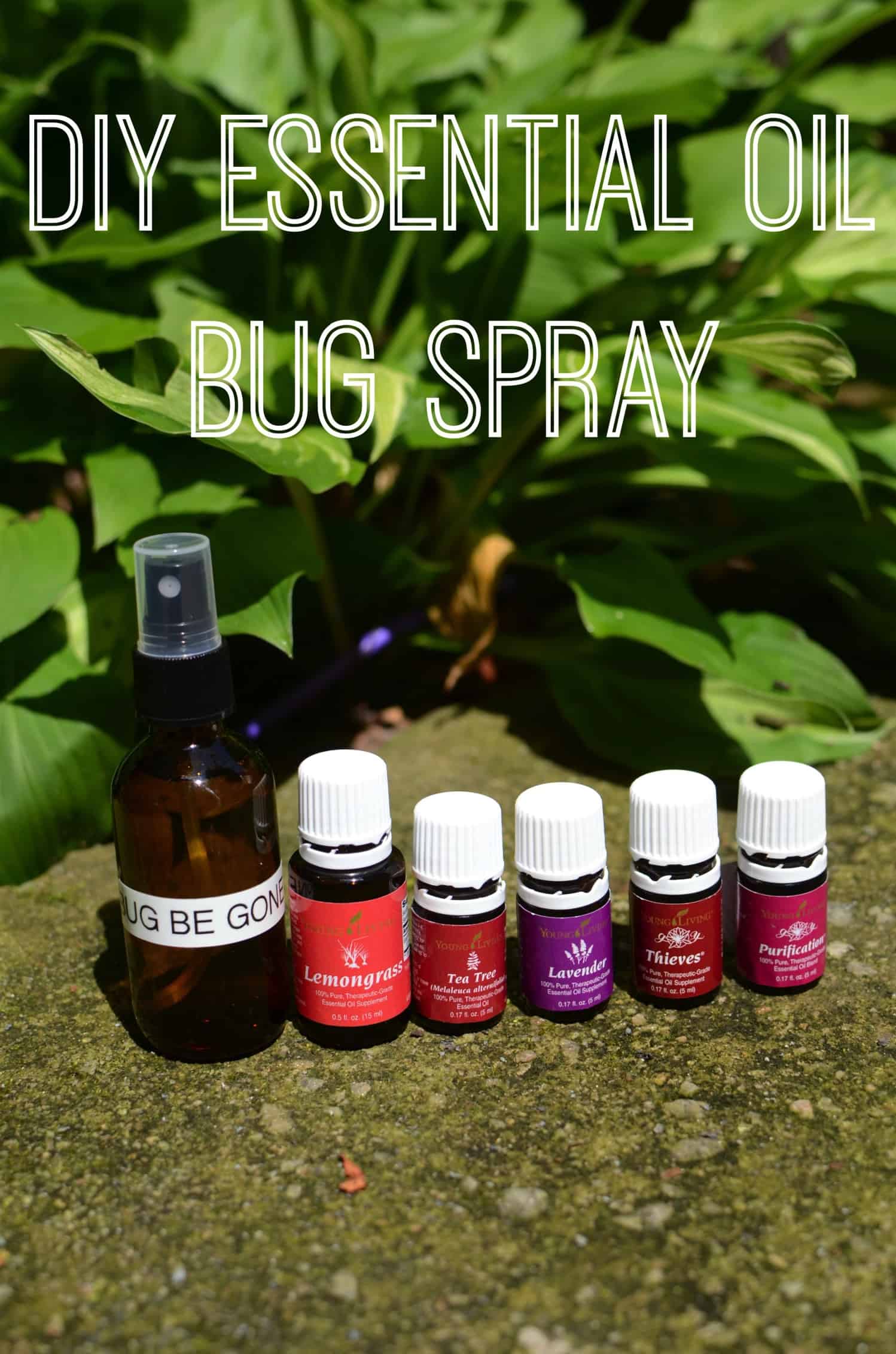 Diy essential oils bug spray