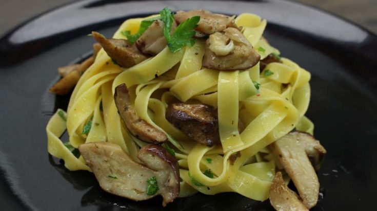 Delicious tagliatelle with porcini mushrooms recipe