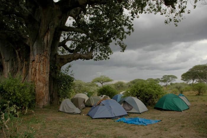 Tarp shelter extensions