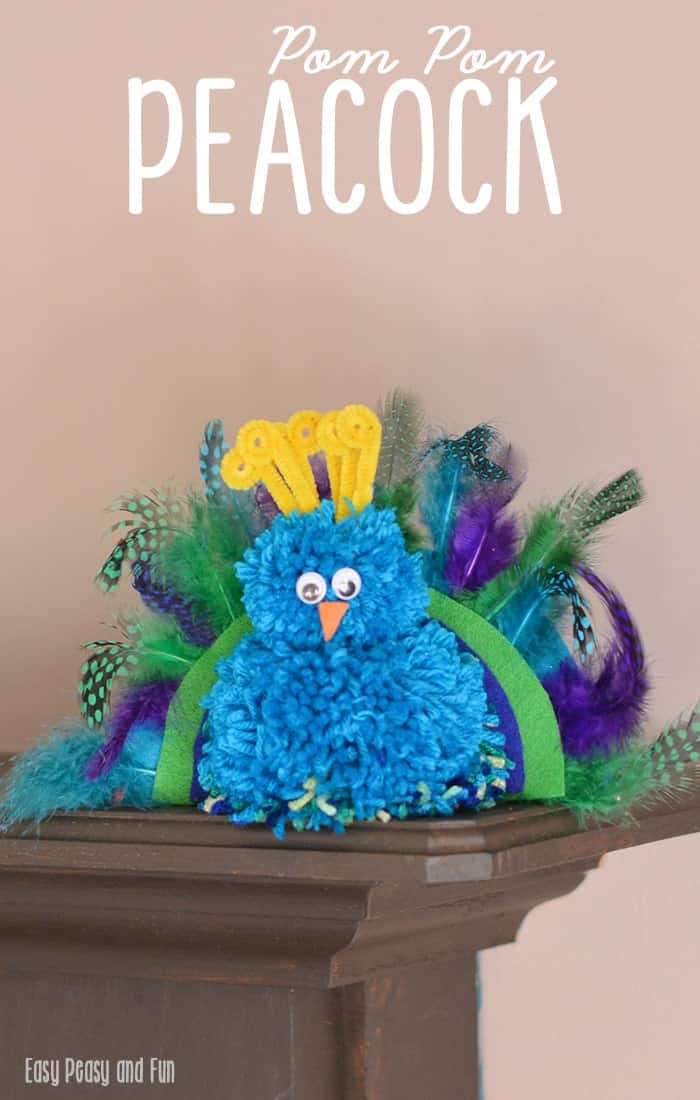Pom pom, pipe cleaner, and feather peacock