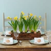 Daffodil wooden garden box with nestled easter eggs