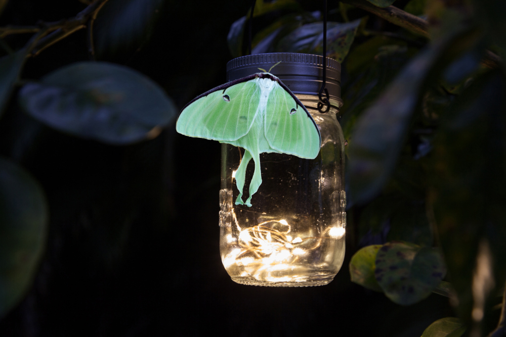 Mason Jar Led Light Lamp - DIY Mason Jar Table Centerpieces
