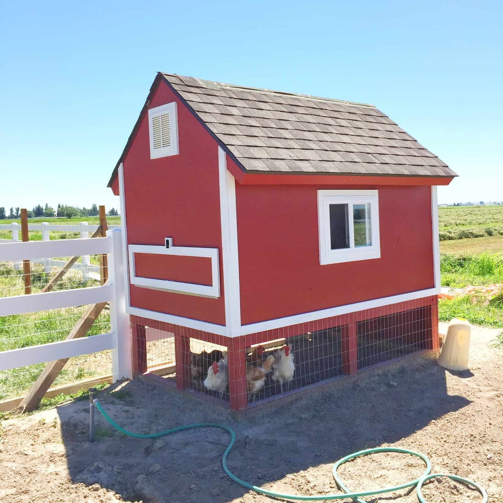 Raised chicken coop from upcycled pallets