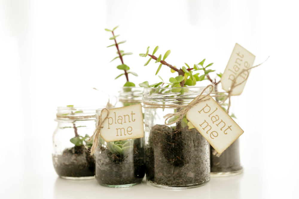 planter - Mason Jar Centerpieces with Flowers