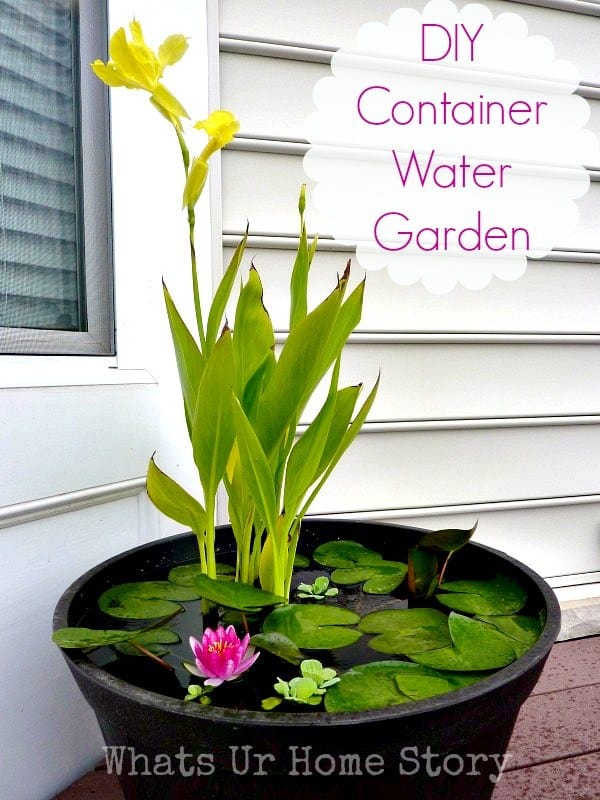 Diy water container garden