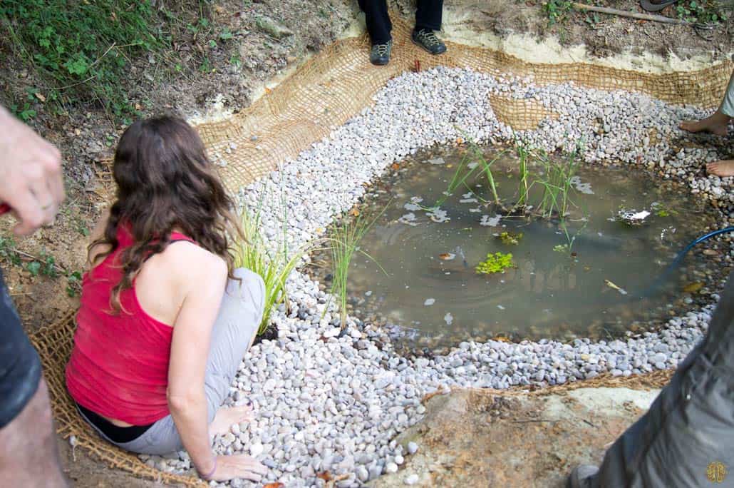 Liner less natural pond